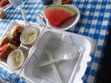 Roosevelt Care Center at Edison’s Country Fair